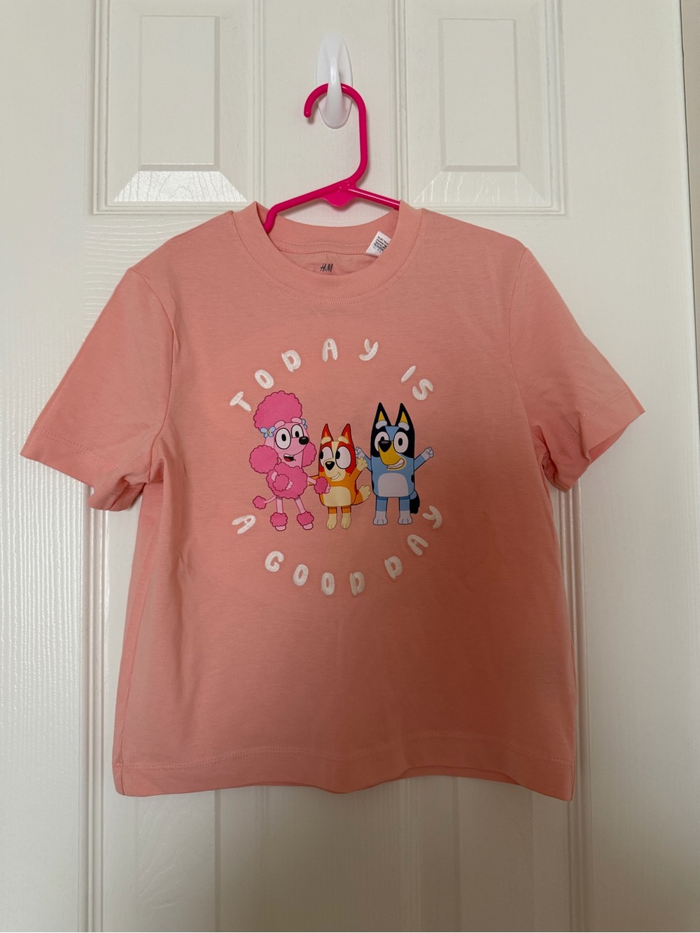 H&M Pink Kids Graphic Tee Bluey 5T oversize